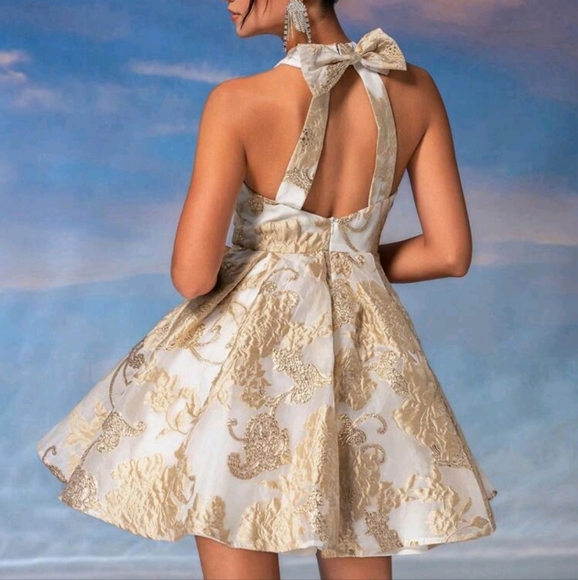 Mesh Embroidery Fabric, Back Hollow Detailing, Bow Tie Detailing Women - Picture 2 of 4